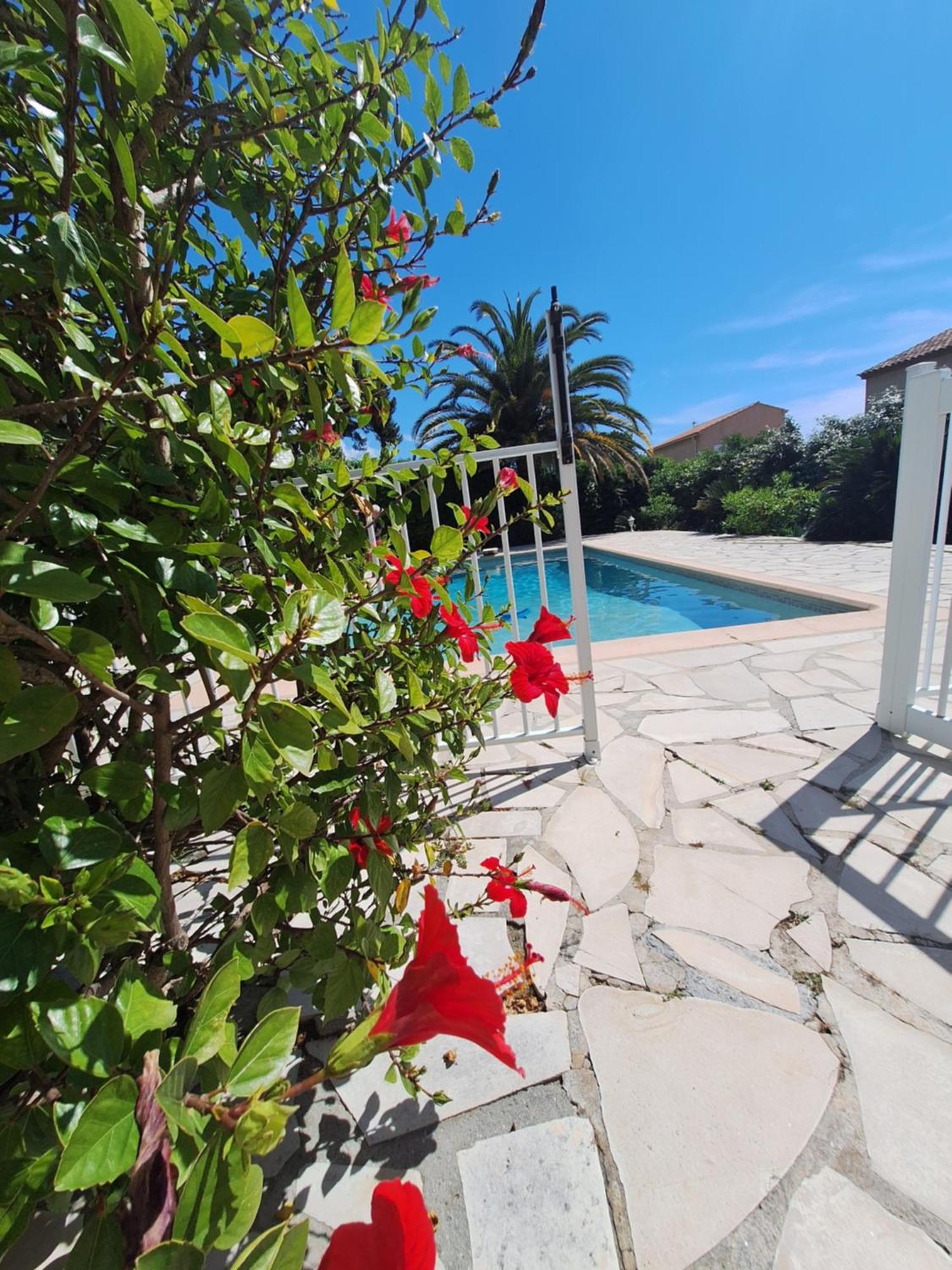 Rez De Terrasse Piscine Séjour chez l'habitant *